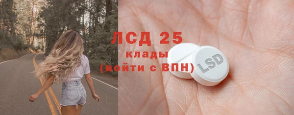 прущие грибы Алексеевка