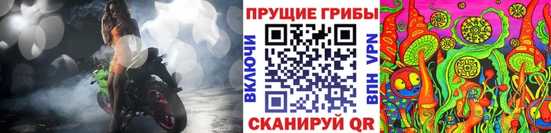 Псилоцибиновые грибы прущие грибы  Орехово-Зуево 